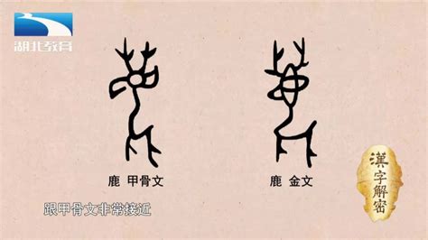 鹿的造詞|鹿字造詞 / 鹿字詞語大全